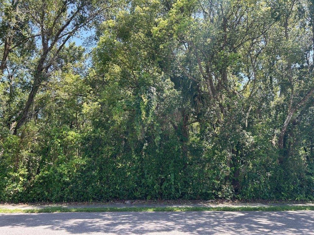 King Ave., Zellwood, FL 32798
