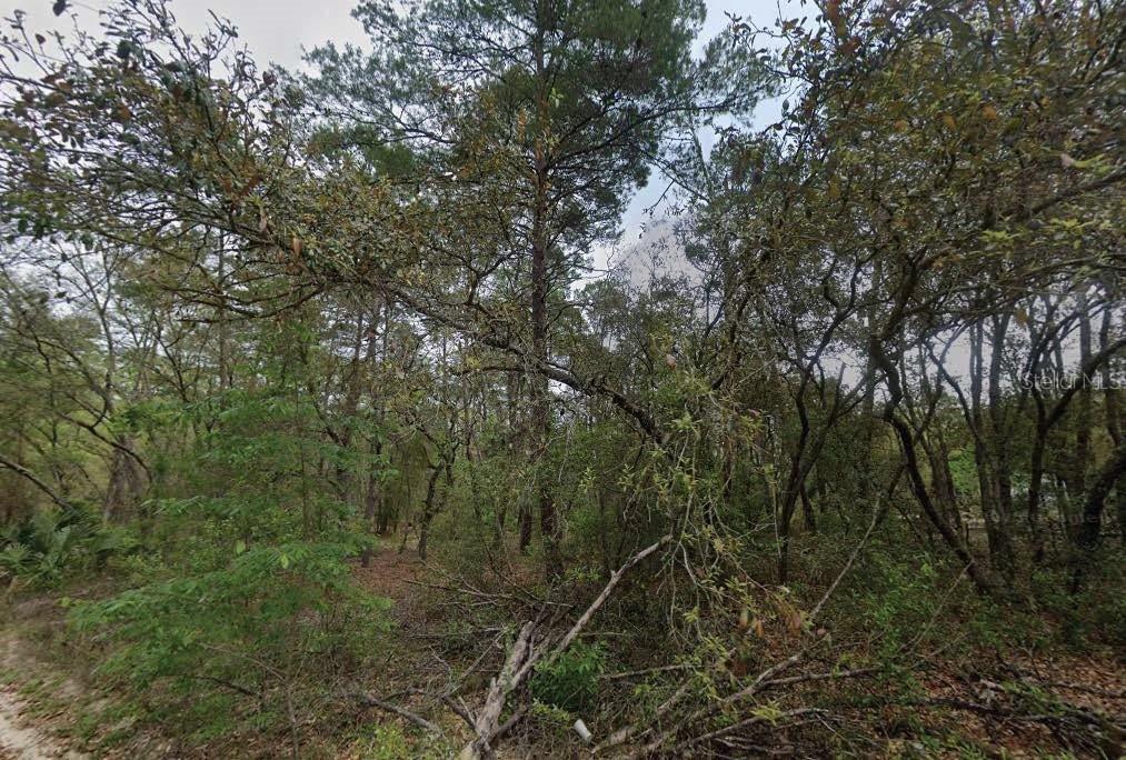 111 N Carolina Dr., Satsuma, FL 32189