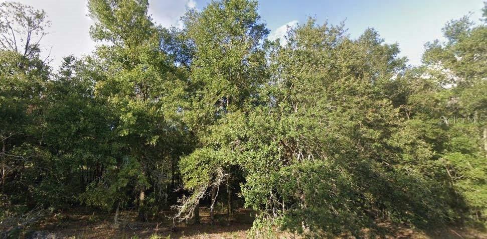 262 Cypress St., Interlachen, FL 32148