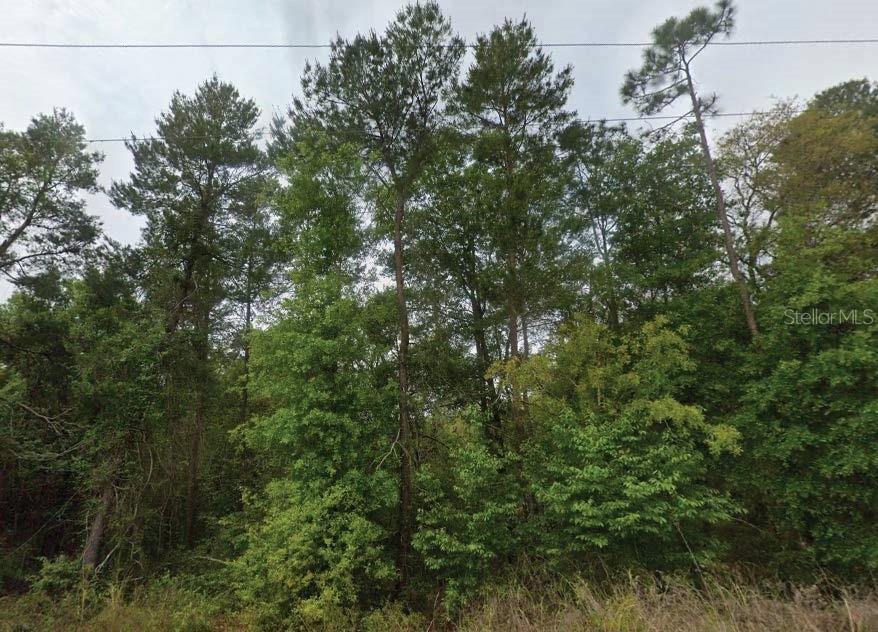 323 Ridge Rd., Satsuma, FL 32189