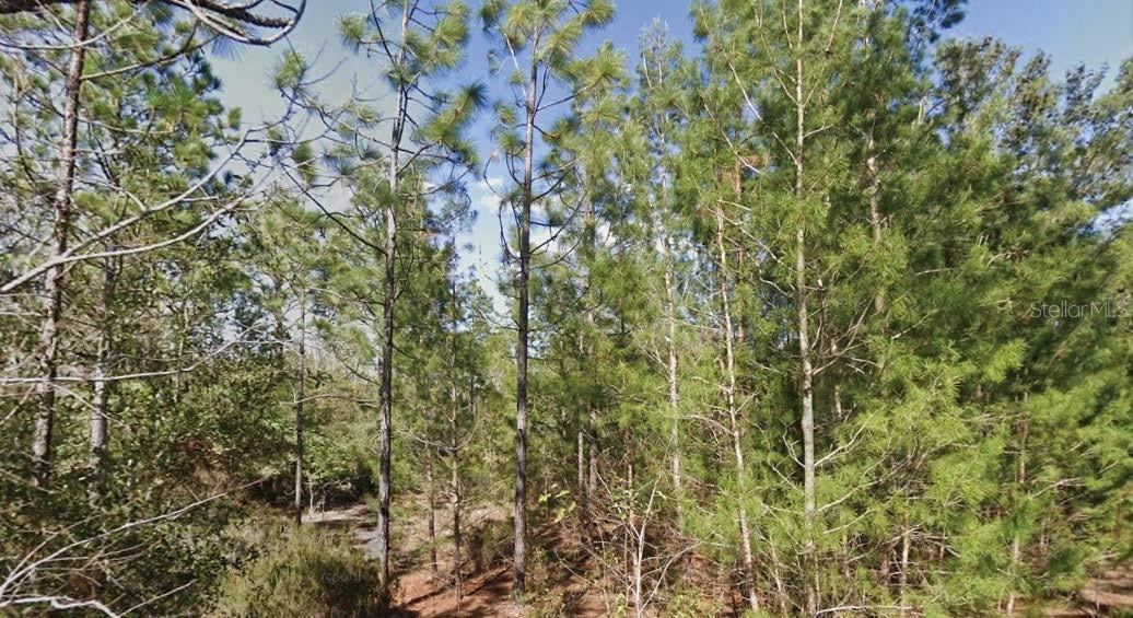 Orchid Dr., Interlachen, FL 32148