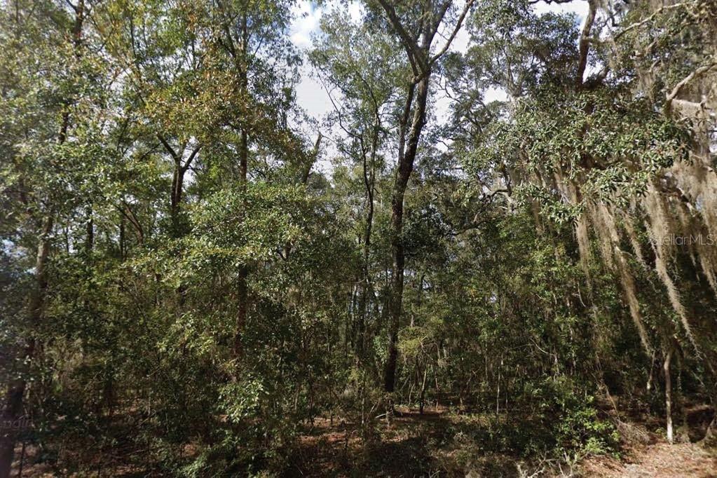Walker Dr., Interlachen, FL 32148