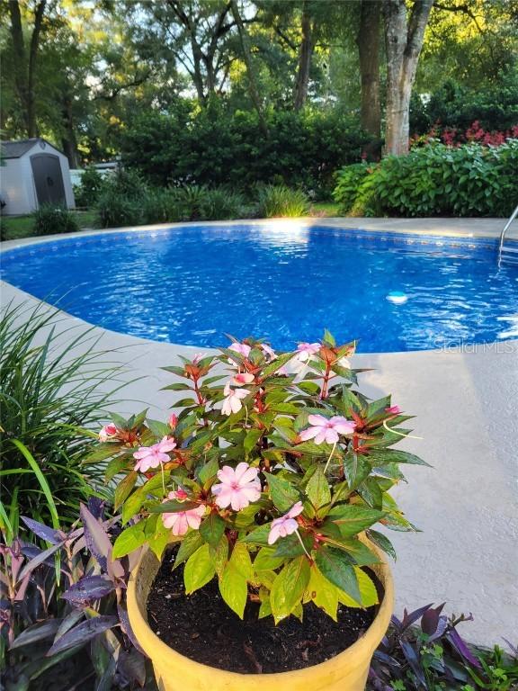 2320 NE 43rd St., Ocala, FL 34479