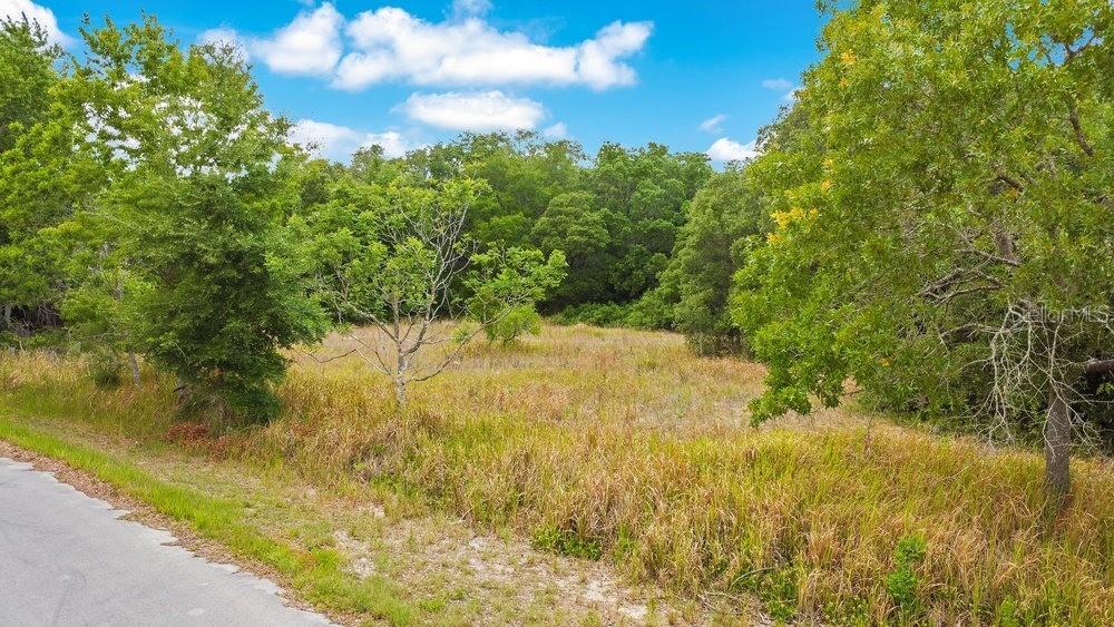 Bahia Rd, Ocala, FL 34472