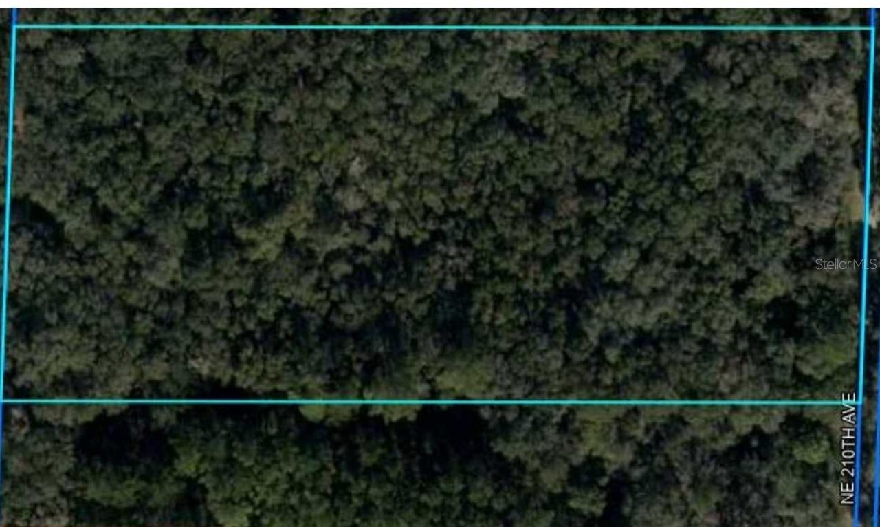 Ne 210th Ave., Williston, FL 32696