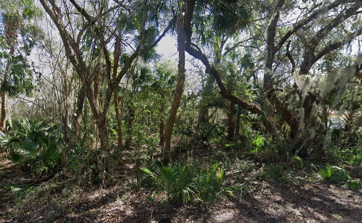 Nancy St., Oak Hill, FL 32759