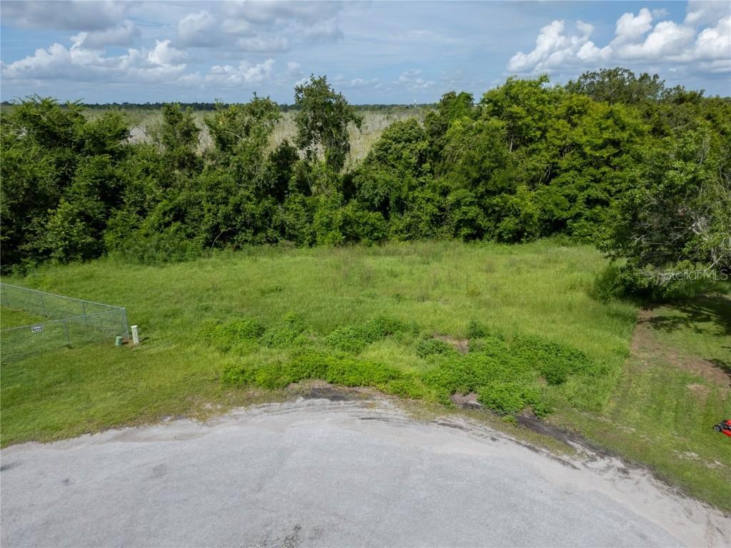 Nest Ct., Grand Island, FL 32735