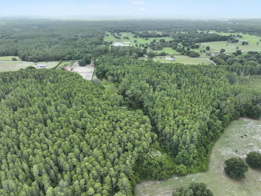 8449 Bay Lake Rd., Groveland, FL 34736