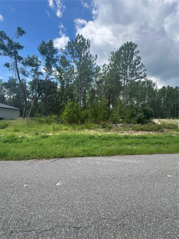 Sw 132nd Place, Ocala, FL 34473