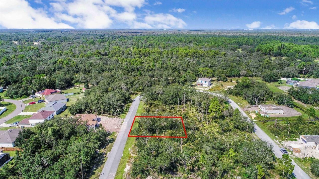 1343 Homosassa Dr., Kissimmee, FL 34759