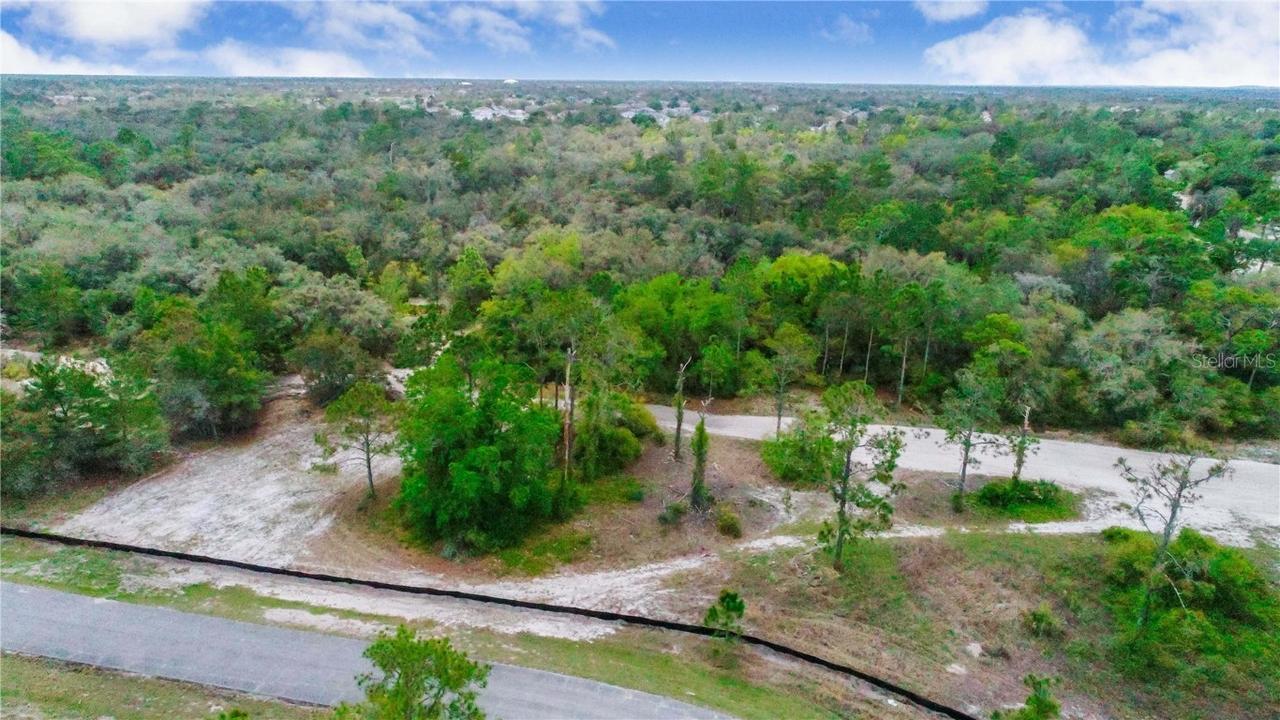 403 Rainbow Ct., Kissimmee, FL 34759