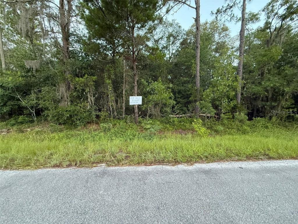 905 E Hillsborough Ave. #22, Florahome, FL 32140