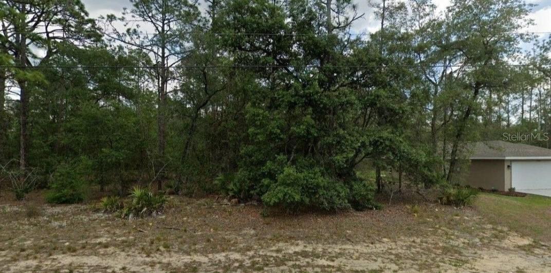 6299 N Allston Ter., Dunnellon, FL 34433