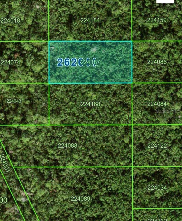 No Name Rd #343, Polk City, FL 33868