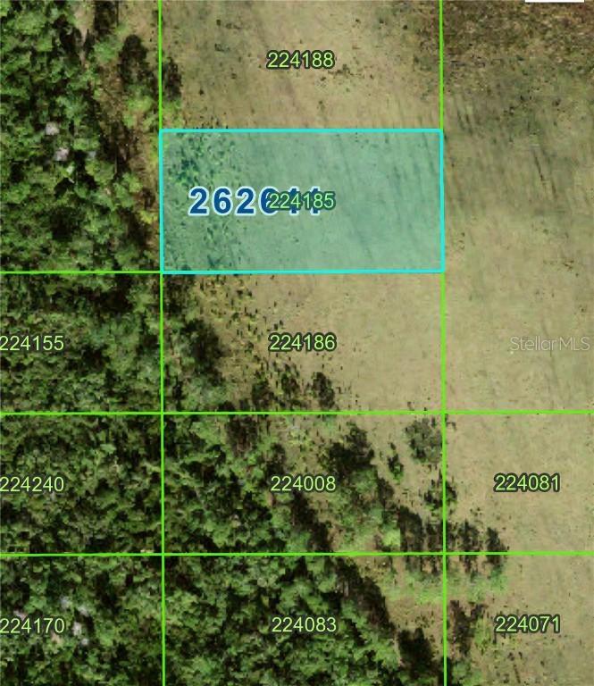 No Name Rd #333, Polk City, FL 33868