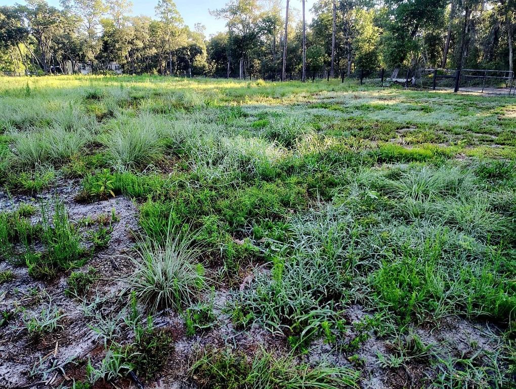 SW 153 Ln., Dunnellon, FL 34432