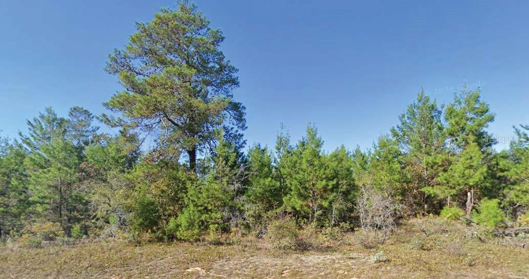 Dumajack Rd., Chipley, FL 32428