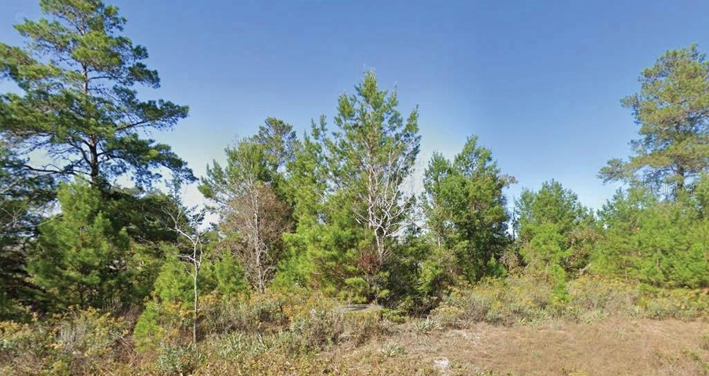 Dumajack Rd., Chipley, FL 32428