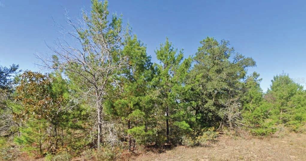Dumajack Rd., Chipley, FL 32428