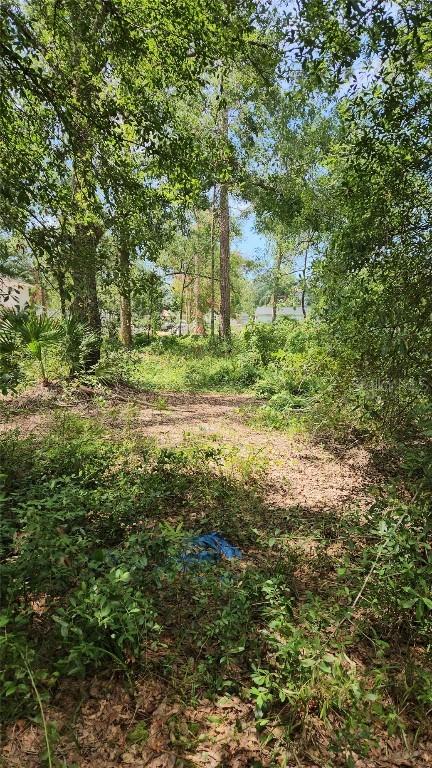 7624 Anno St., Tampa, FL 33625