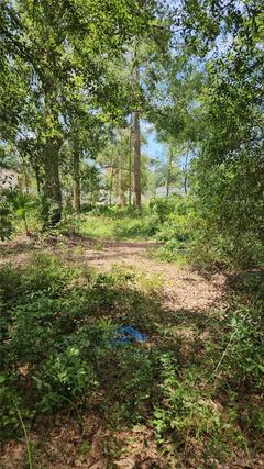 New Homes For Sale This Week in Citrus Park: July 4th to July 10th