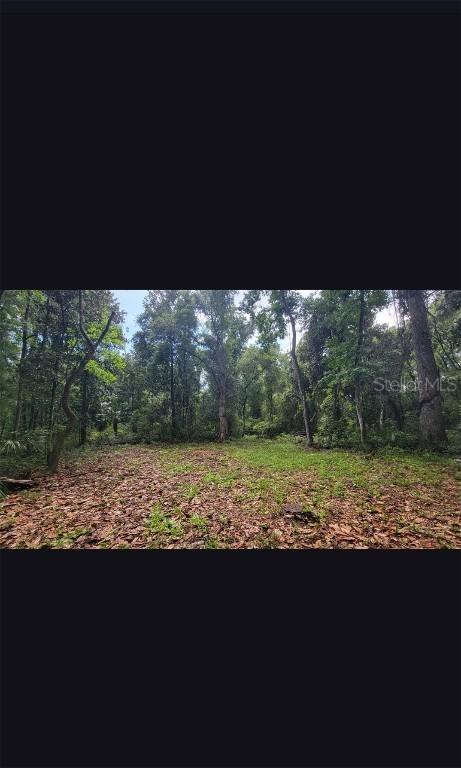 25th Ave., Chiefland, FL 32626