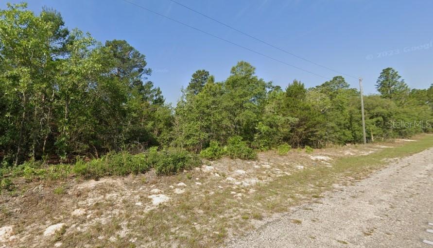 7619 N Normandy Pl., Dunnellon, FL 34433