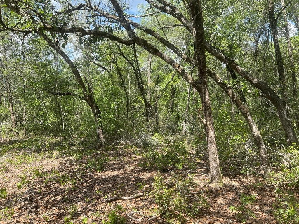 2205 Adams St., Inverness, FL 34453
