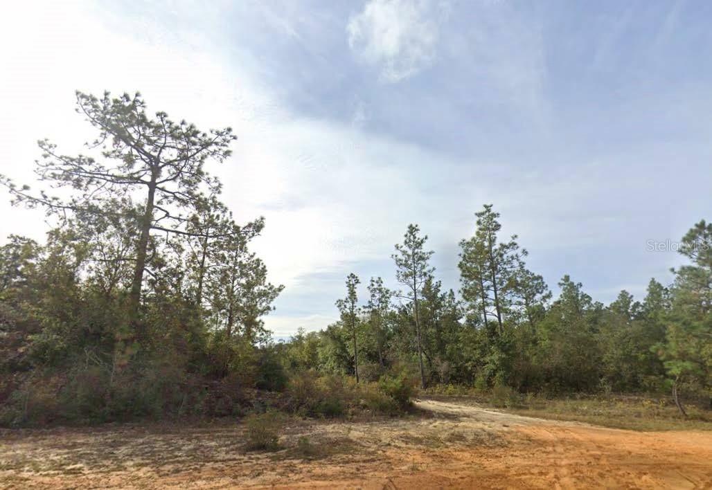 Kings Dr., Chipley, FL 32428