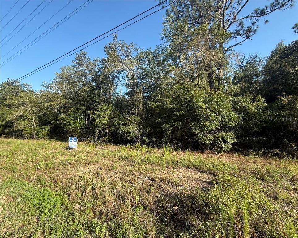 SW Sea Cliff Ave., Dunnellon, FL 34431