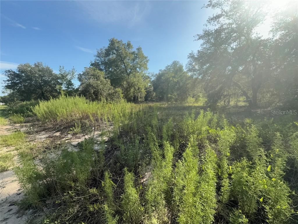 SW Winding Hills Rd., Dunnellon, FL 34431