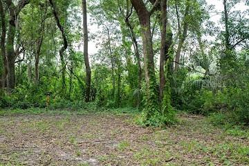 8641 High St., Yalaha, FL 34797