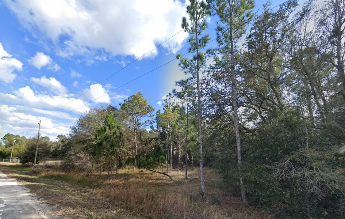 33472 West Blvd., Webster, FL 33597