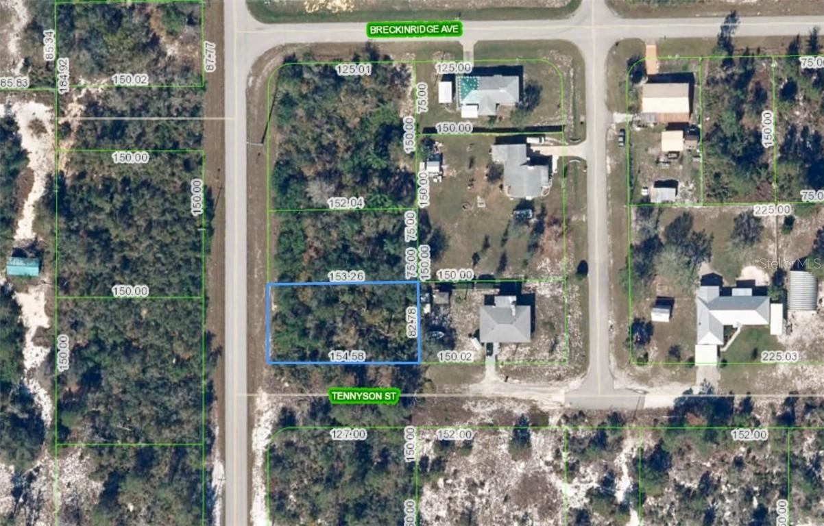 1002 Tennyson St., Lake Placid, FL 33852