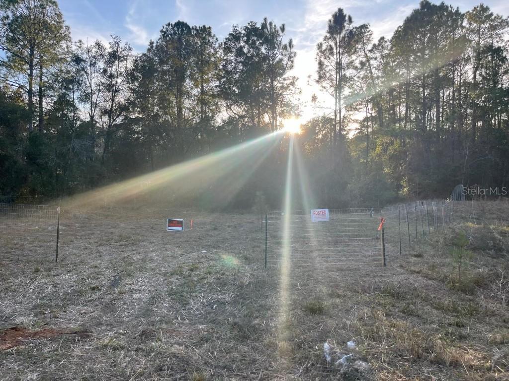 307 Mallard Rd., Satsuma, FL 32189