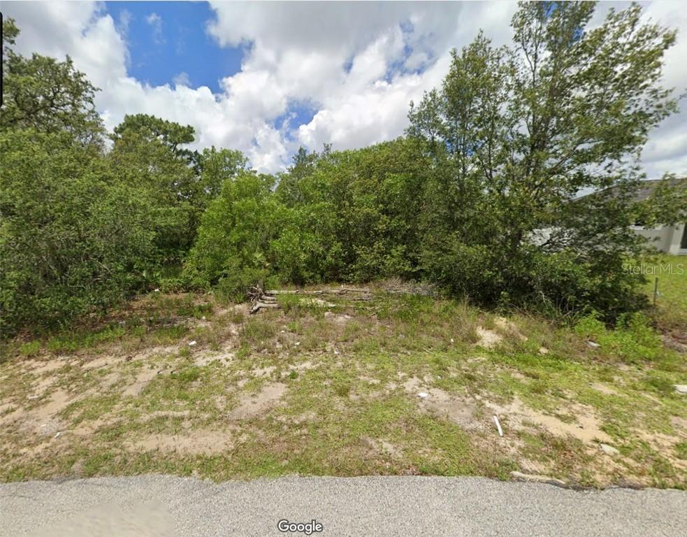 Flatfish Ct., Kissimmee, FL 34759