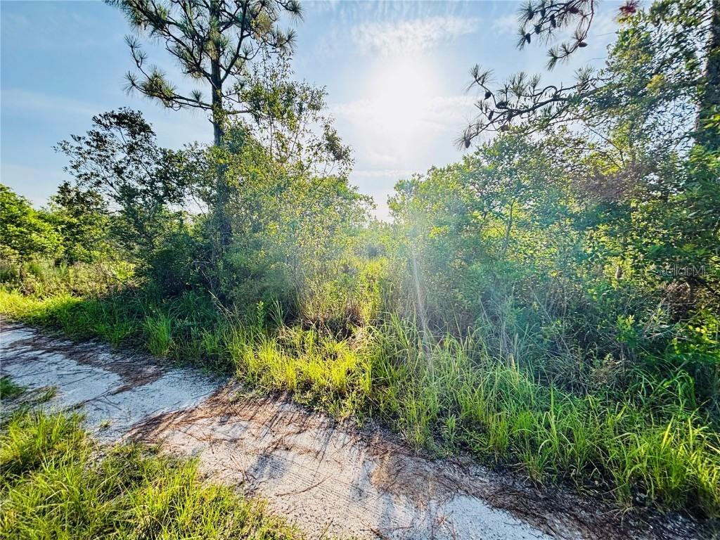 Shakedown Street, St Cloud, FL 34773