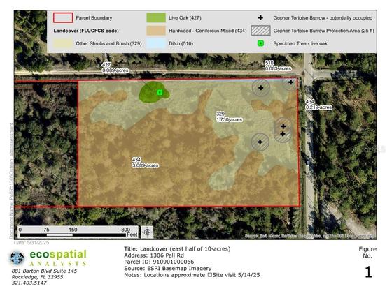 New Homes For Sale This Week That Attend Osteen Elementary School: July 18th to July 24th