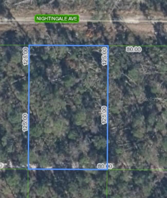 455 Nightingale Ave., Sebring, FL 33870