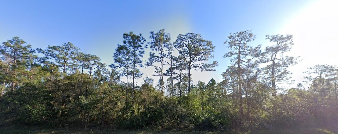 20106 E Colonial Dr., Christmas, FL 32709