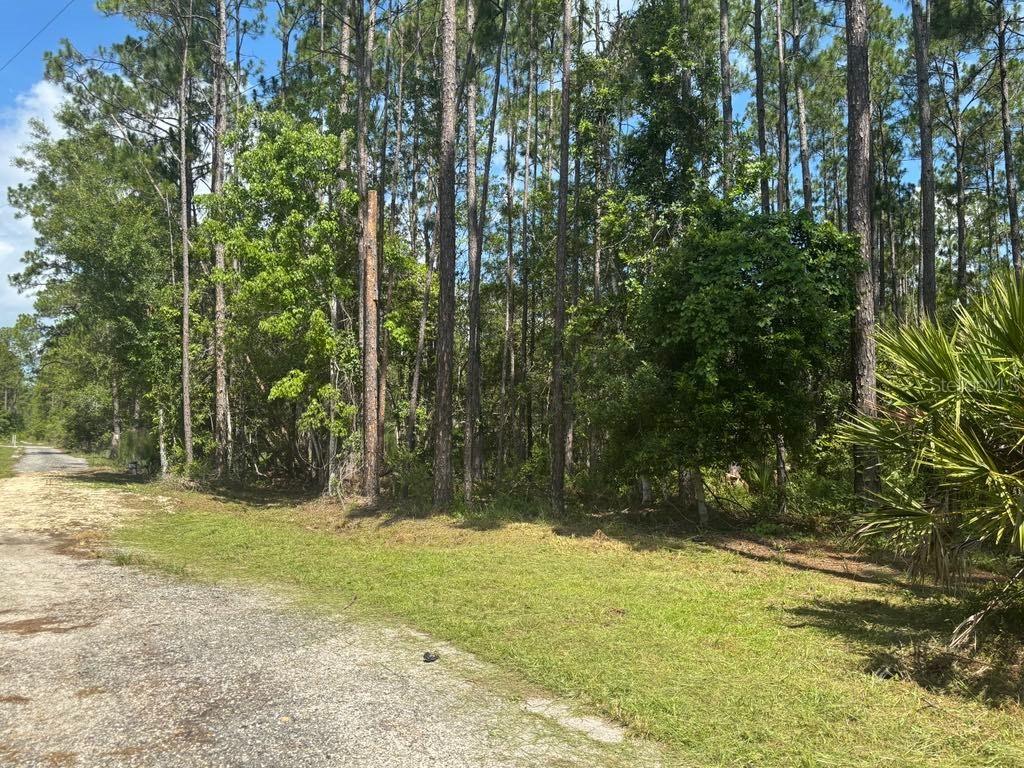 Ward St., Astor, FL 32102