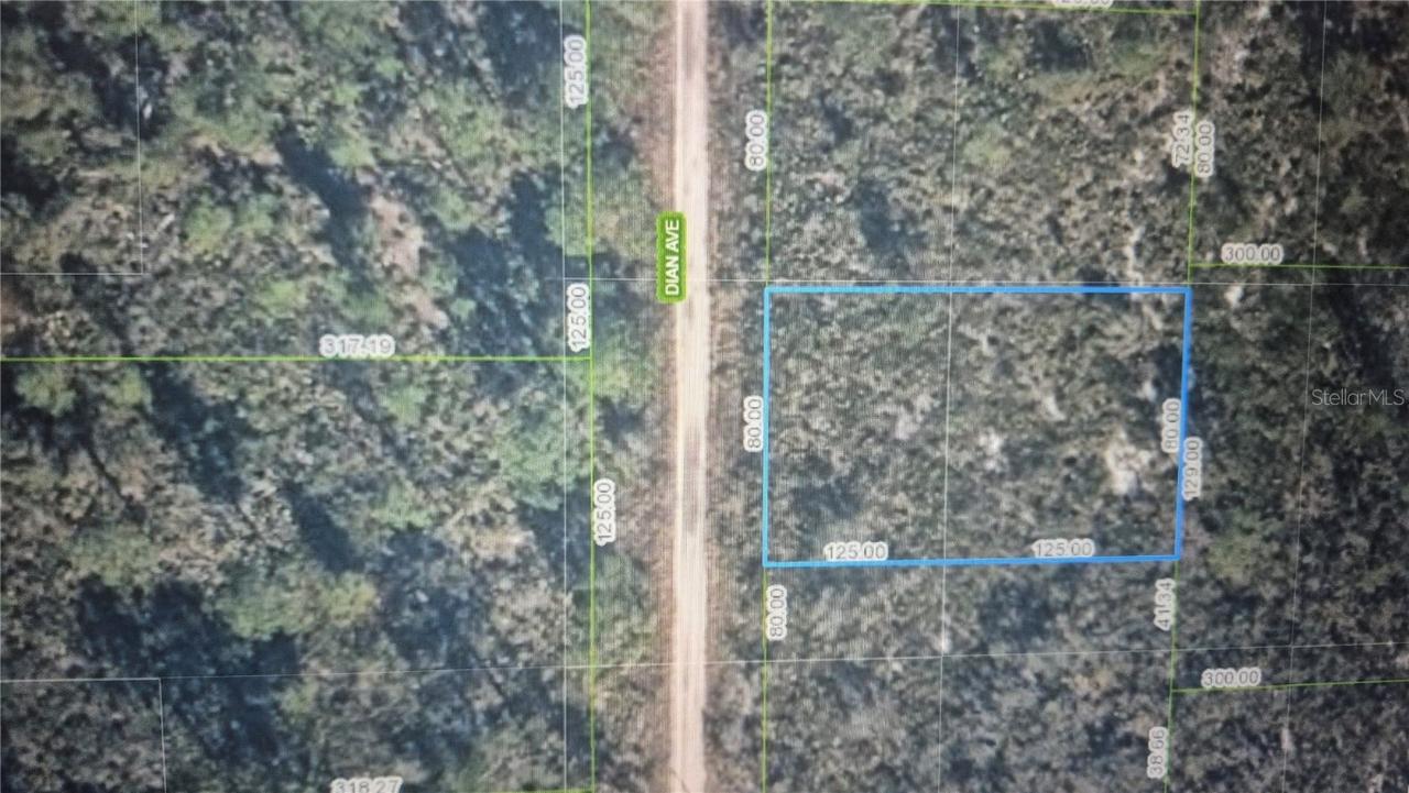 6508 Dian Ave., Sebring, FL 33875