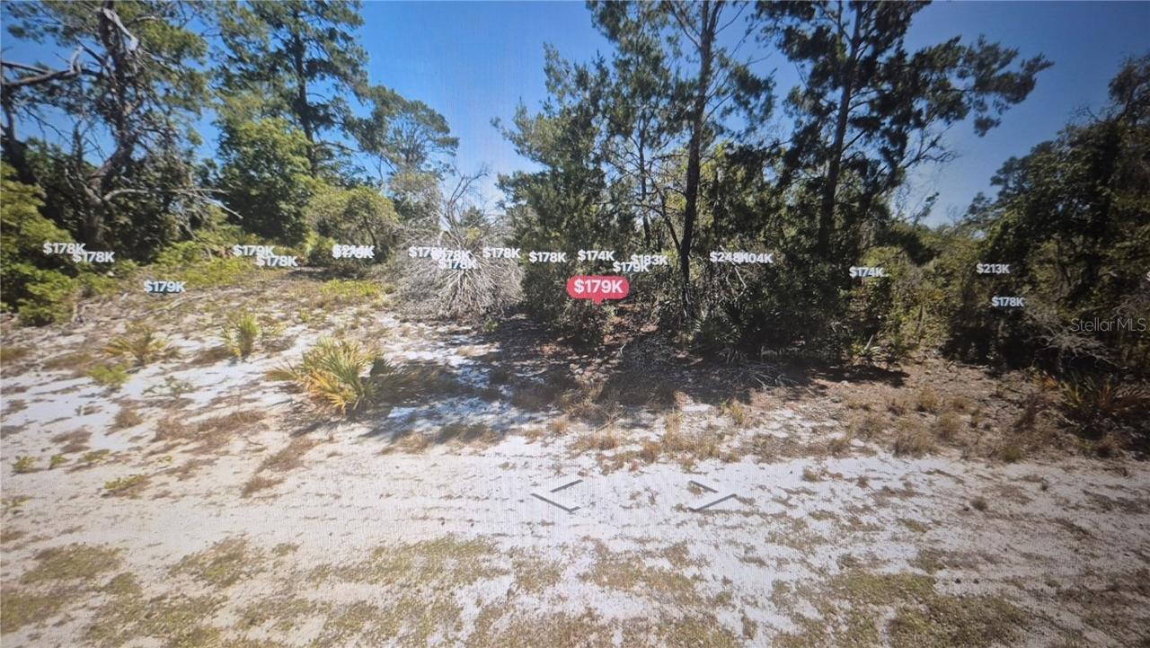 451 Blackbird Ln., Lake Placid, FL 33852