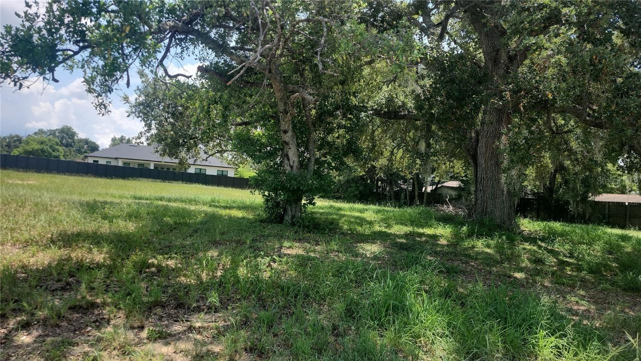 364 S Carolina Ave., Lake Alfred, FL 33850