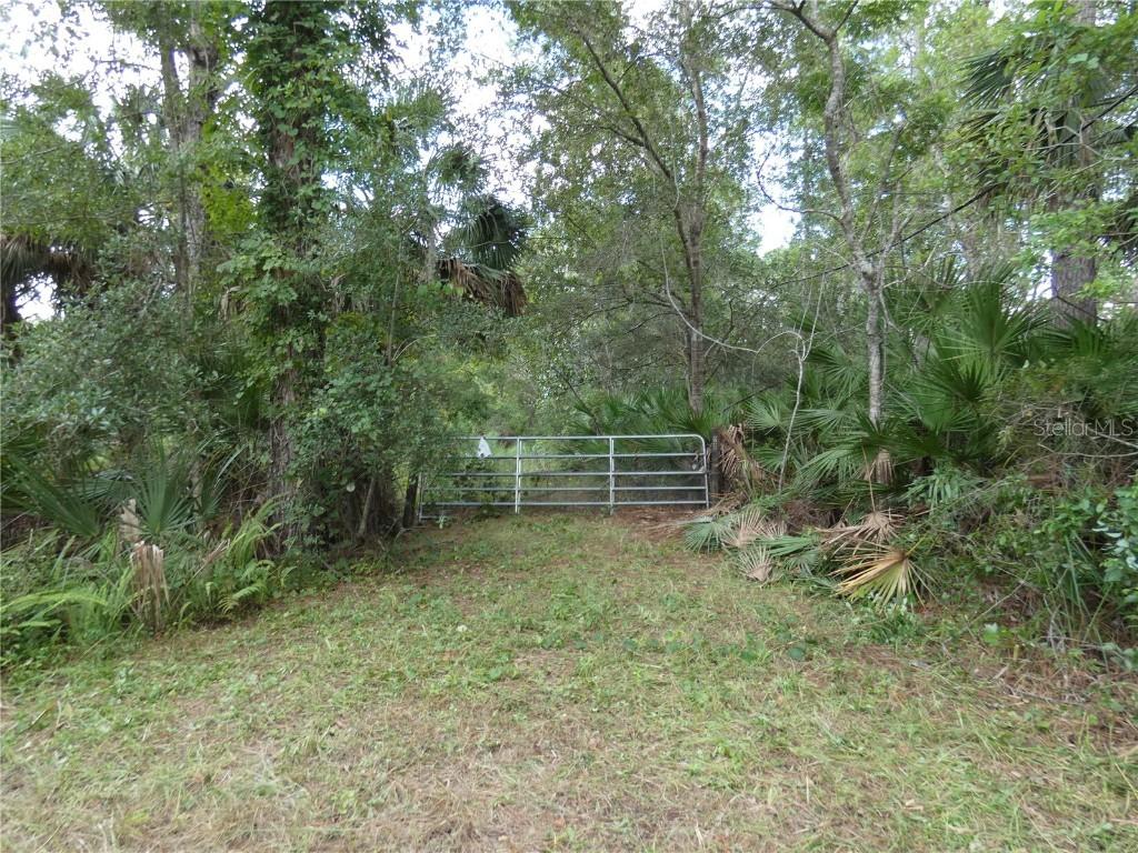 1275 Davidson Dr., Pierson, FL 32180