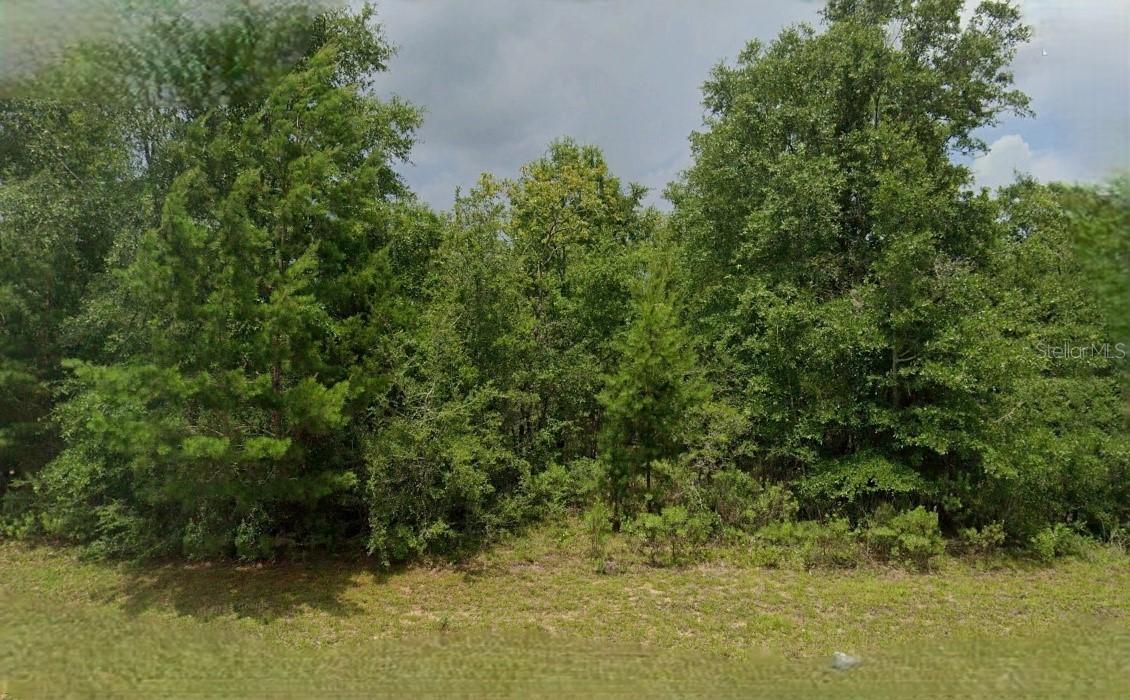 Lincoln Ave., Alford, FL 32420