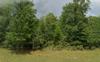 New Homes For Sale This Week in Alford: July 25th to July 31st