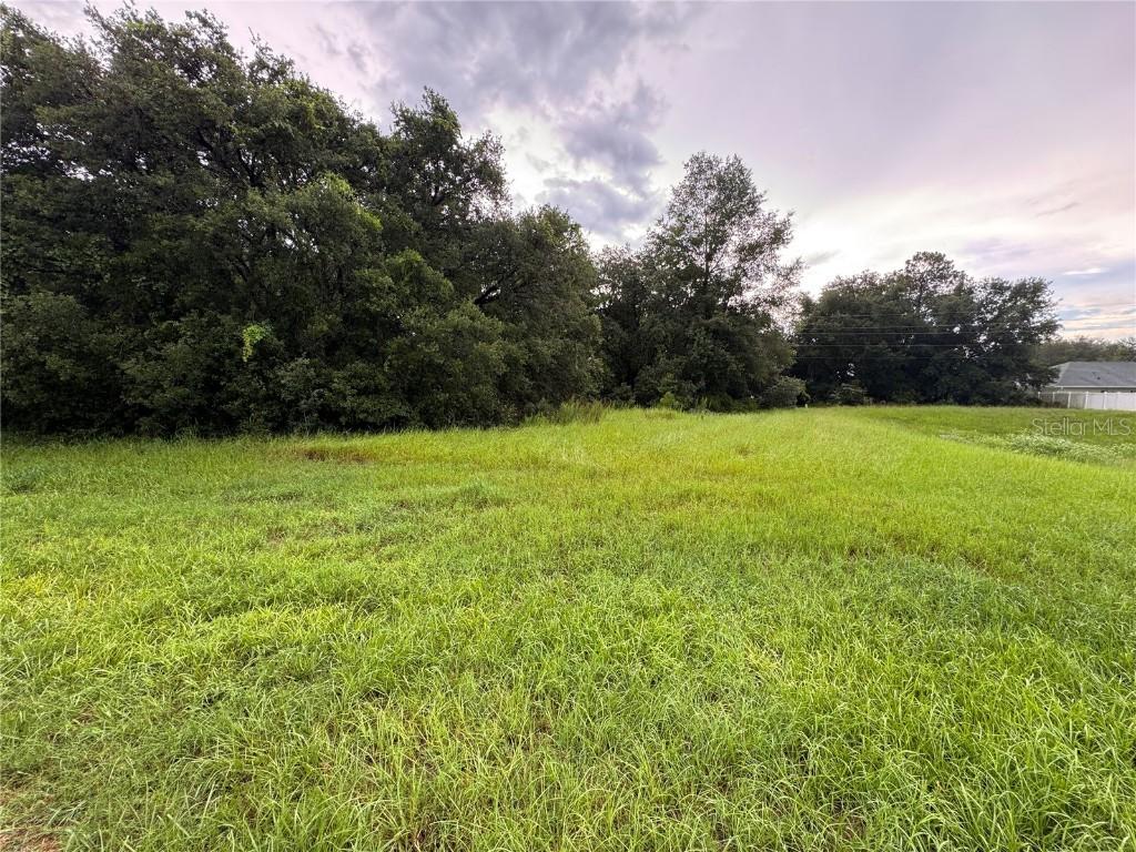SW 142nd Place Rd., Ocala, FL 34473
