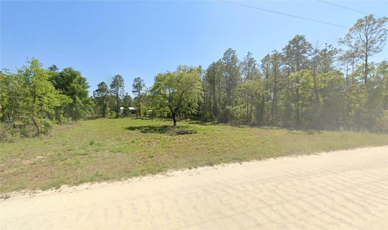NE 10th St., Williston, FL 32696
