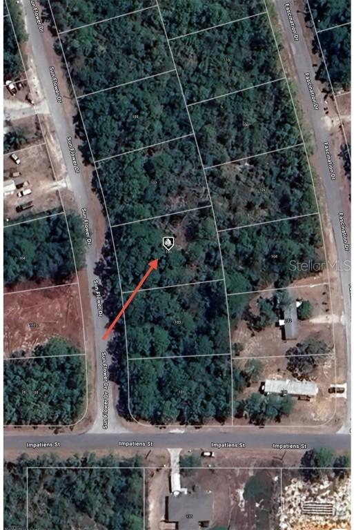 105 Sunflower Dr., Lake Placid, FL 33852